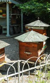 Images of bee hives at Lux. Gardens
