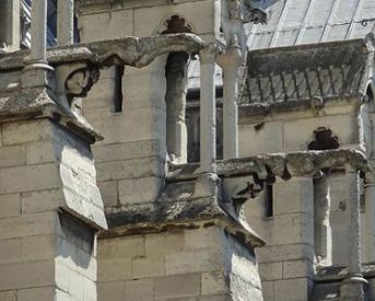 Images of Gargoyles on the Notre Dame