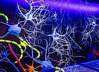 Brain exhibition at Cite des Sciences et de l’Industrie