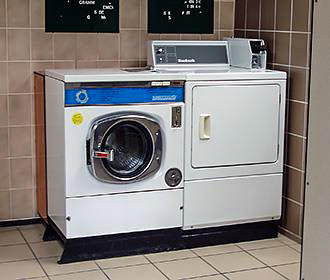 Camping Perroquet laundry room