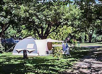 Camping Cevennes-Provence pitches
