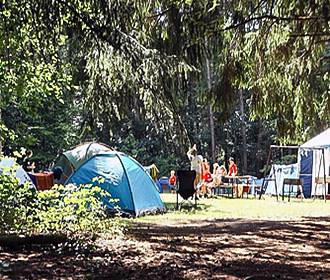 Camping La Bouliniere pitches