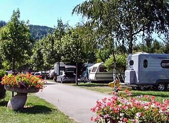 Camping Les Bouleaux pitches