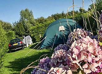 Camping Port'land tent pitch