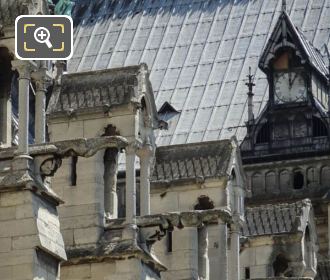 Gargoyles on south facade of Notre Dame