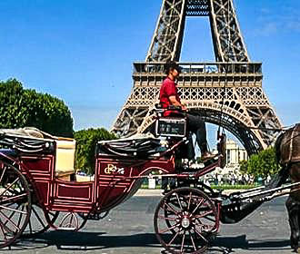 Horse and Carriage Rides Eiffel Tower