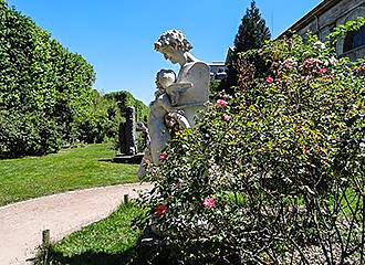 Rose garden inside Jardin des Plantes