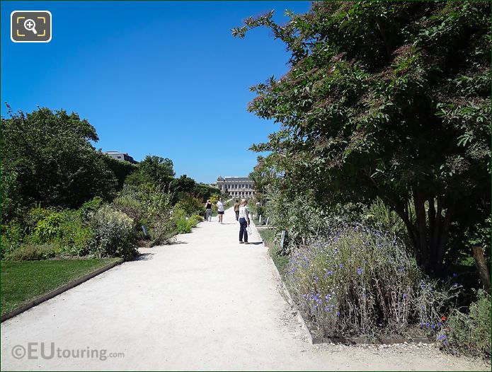 Plants and shrubs within Jardin des Plantes