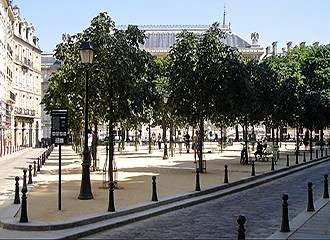 Square de la Place Dauphine trees