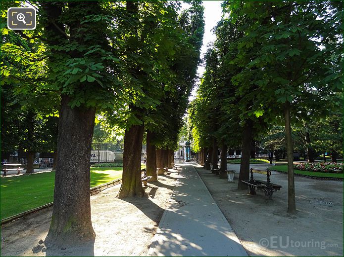 Jardin du Luxembourg treel lined East path to Rue Soufflot