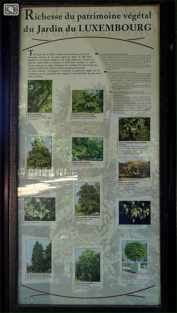 Tourist info for Historical Trees in Jardin du Luxembourg