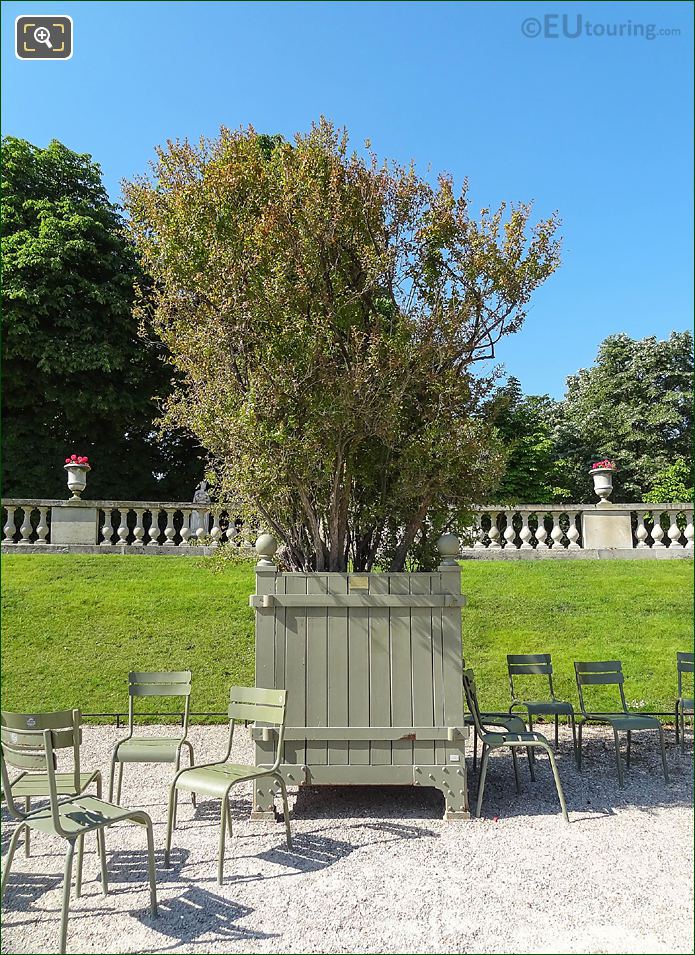 Oak pot 036 for flowering Pomegranate Tree, Jardin du Luxembourg