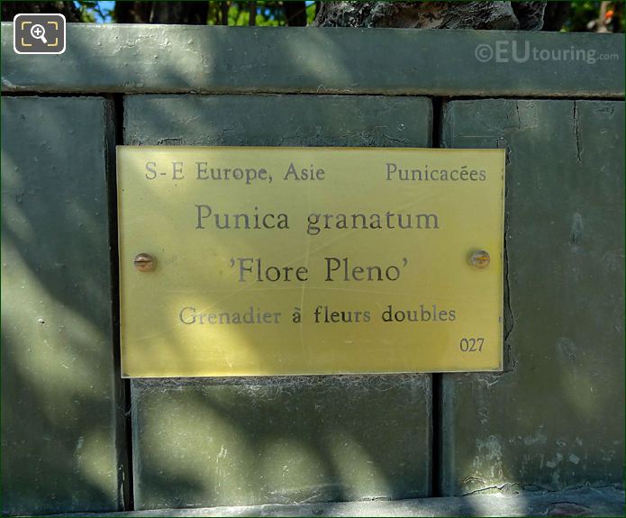 Jardin du Luxembourg info plaque for pot 27 Punica Granatum 