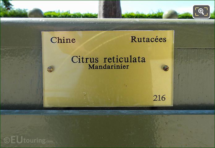 Info plaque for Pot 216 in Luxembourg Gardens, Paris