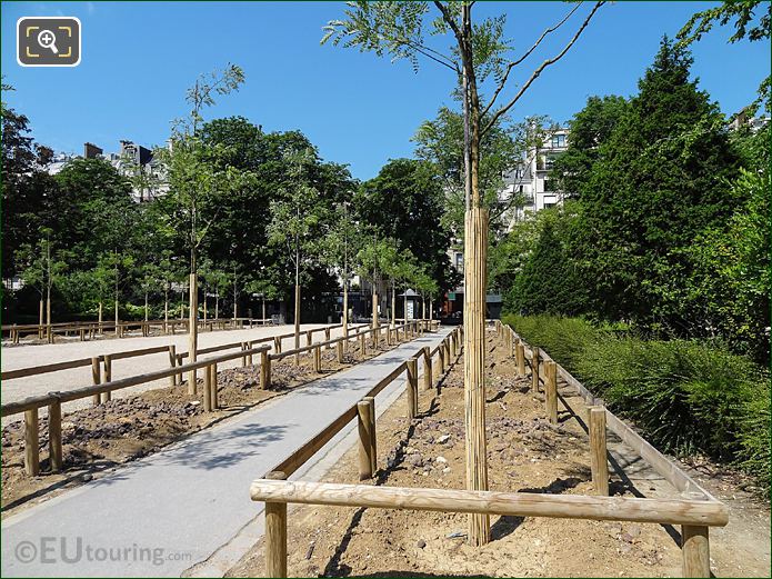 New trees in Jardin du Luxembourg West gardens