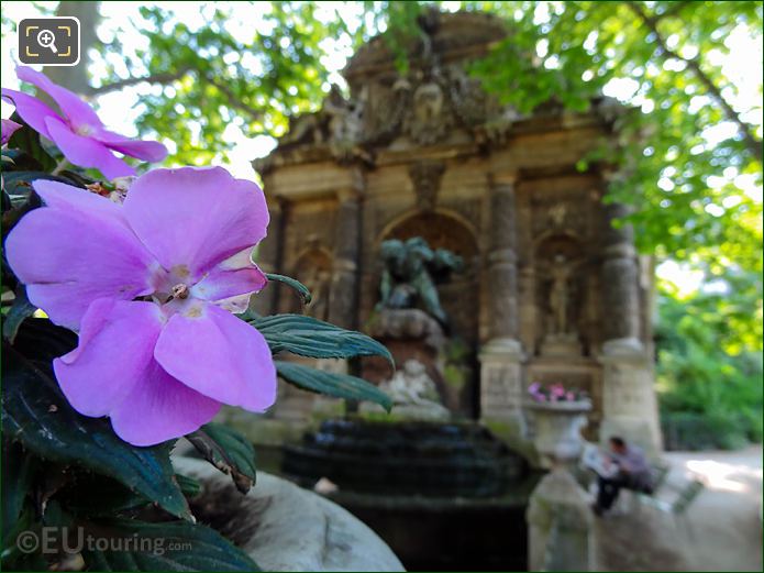 Purple Pansies at Medici Fountain in Jardin du Luxembourg