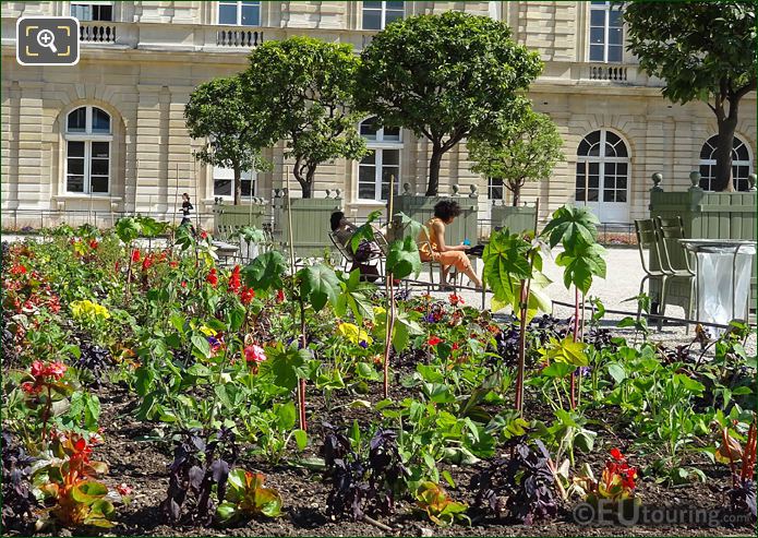Bedding plants and flowers in Jardin du Luxembourg