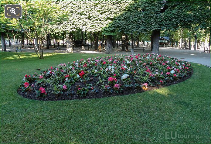 Bedding plants in oval flowerbed, Jardin du Luxembourg