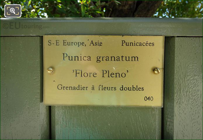 Info plaque on green crate plant pot No 40 in Luxembourg Gardens