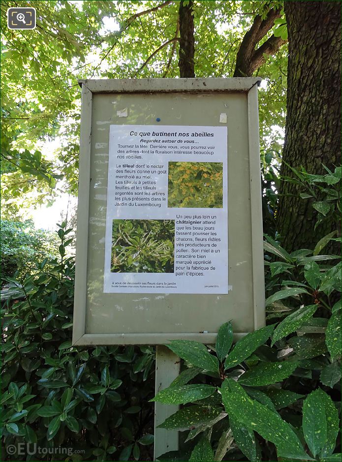 Info board on Linden flowers for honey bees, Jardin du Luxembourg
