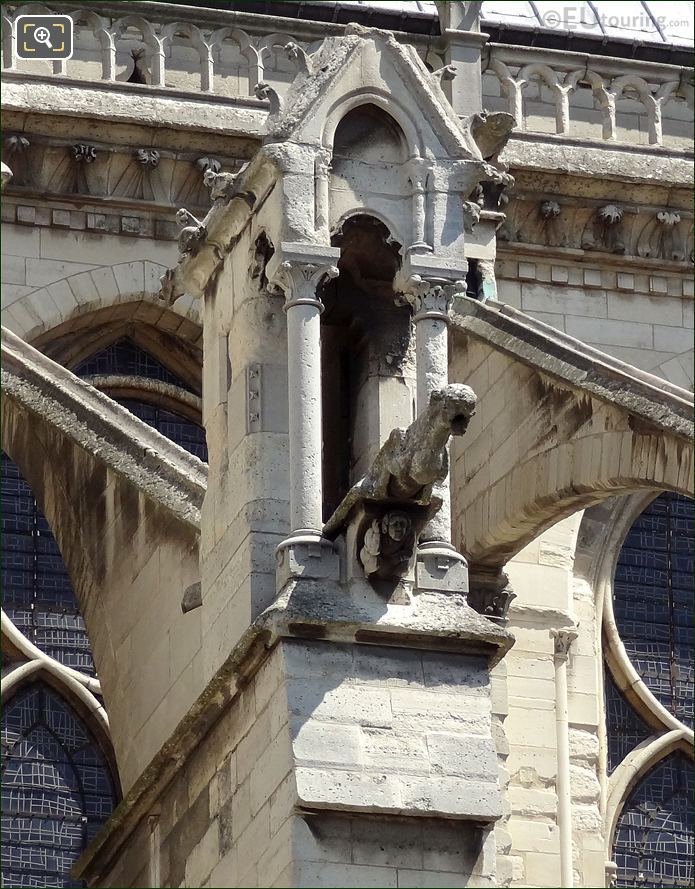 Notre Dame Cathedral Gargoyle
