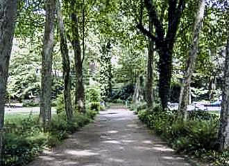 Parc Kellerman tree lined pathway