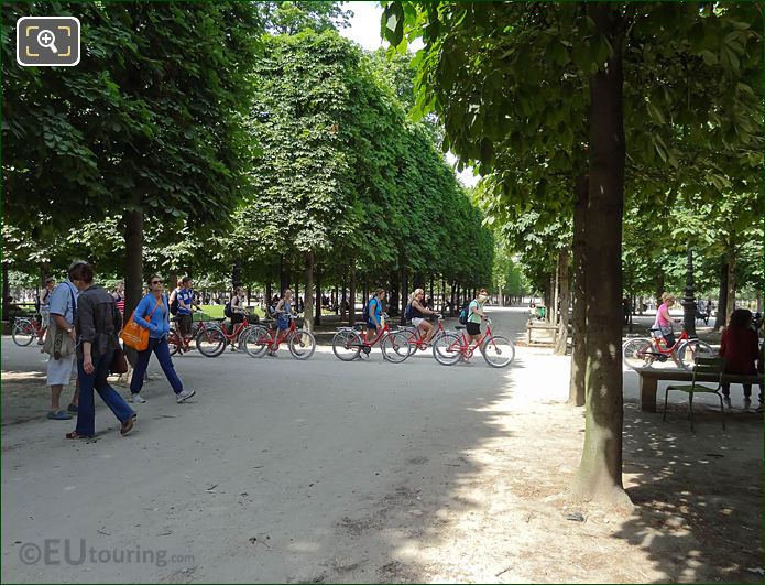 Fat Tire bike tours on Grande Allee du Jardin des Tuileries
