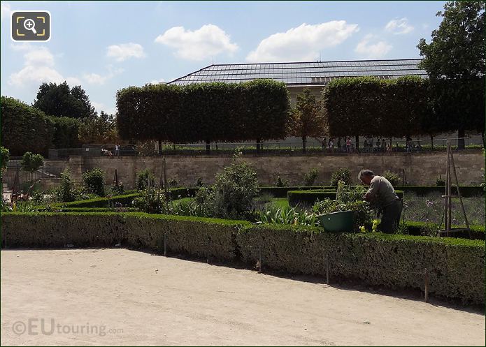 Jardin des Tuileries gardener