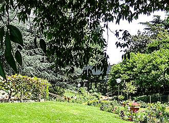 Square Bela Bartok gardens