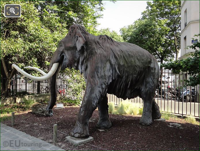 Jardin des Plantes woolly mammoth sculpture