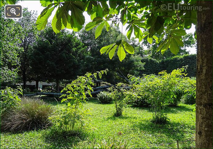 Garden of the Tree of Vowels, Jardin des Tuileries