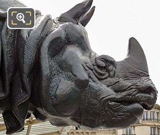 Head of sculpted Rhinoceros at Musee d'Orsay