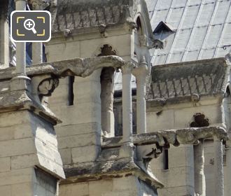 Notre Dame Cathedral Gargoyle statues