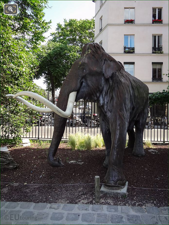 Jardin des Plantes woolly mammoth statue