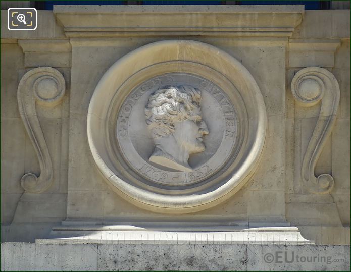 Georges Cuvier bust statue in Paris