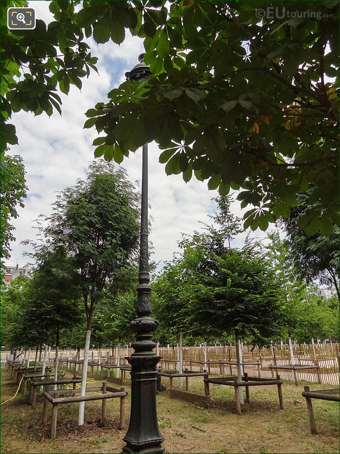 Bosquet Nord-Est garden saplings, Jardin des Tuileries, Paris