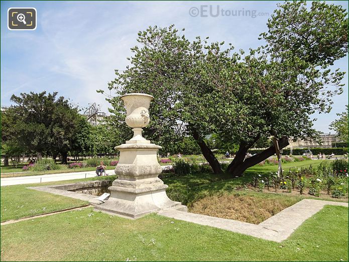 Judas Tree, Petit Reserve Sud, Jardin Des Tuileries