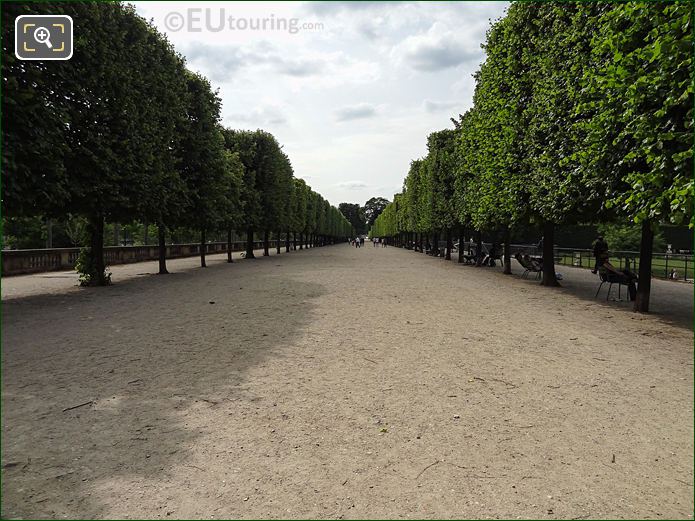 Terrasse du Bord de l'Eau tree line walkway, Tuileries Gardens looking NW
