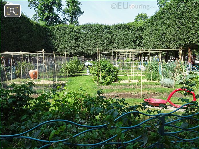 Vegetable Garden in Jardin des Tuileries
