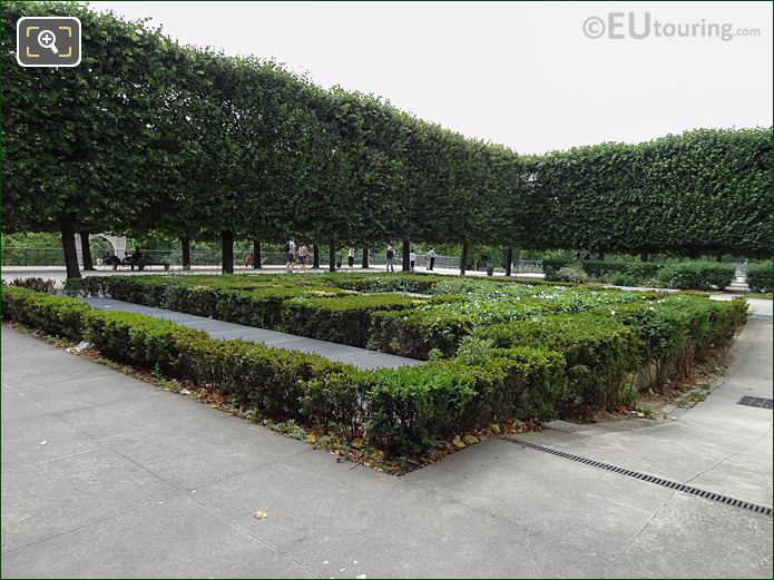 Terrasse du Jeu de Paume suqare hedge pattern, Jardin des Tuileries