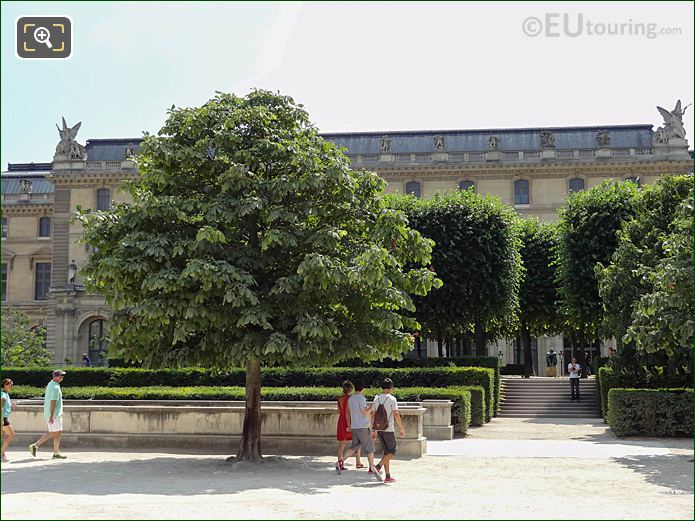 Trees and hedges at Jardin du Carrousel of Tuileries Gardens looking SSW