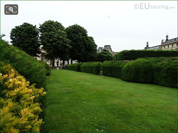 Boxwood hedges in Carrousel Garden of Jardin des Tuileries looking East