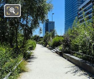 Allee Arthur Rimbaud trees and shrubs