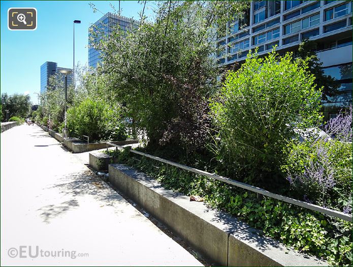 Allee Arthur Rimbaud plants