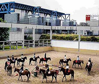 Horse riding at the Centre Equestre de la Villette