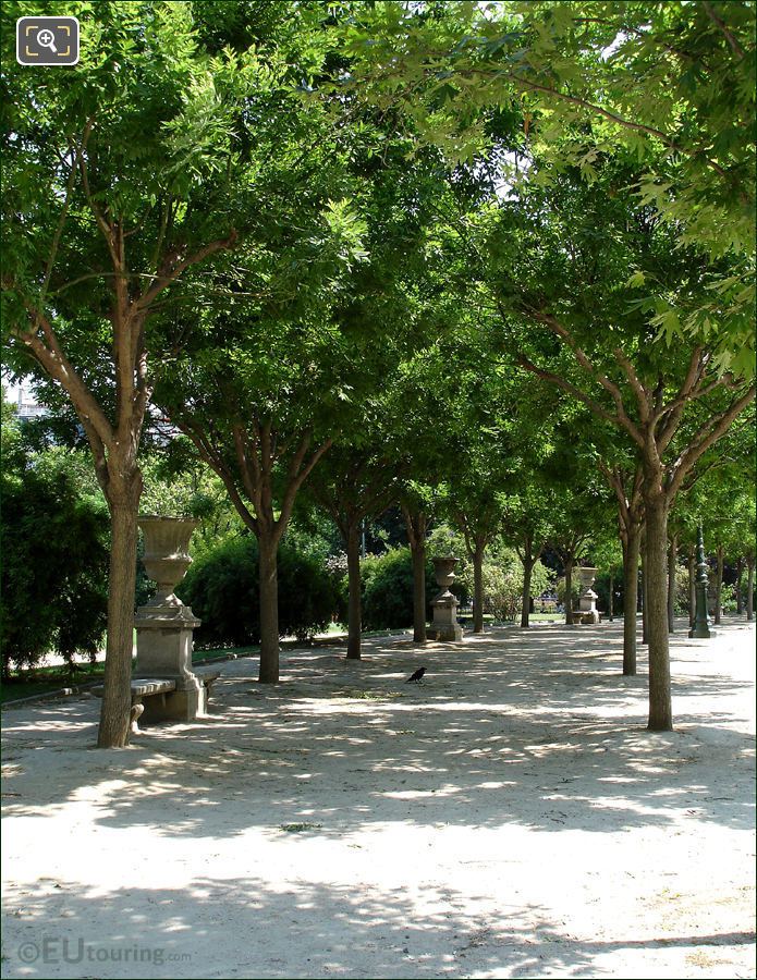 Champ de Mars tree lined walkway