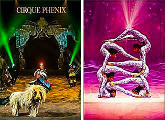 Cirque Phenix performances