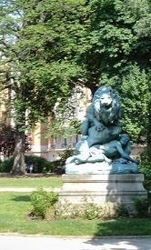 Images of Square Cambronne