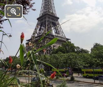 Eiffel Tower from Promenade Quai Branly