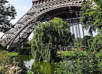 Eiffel Tower east pond